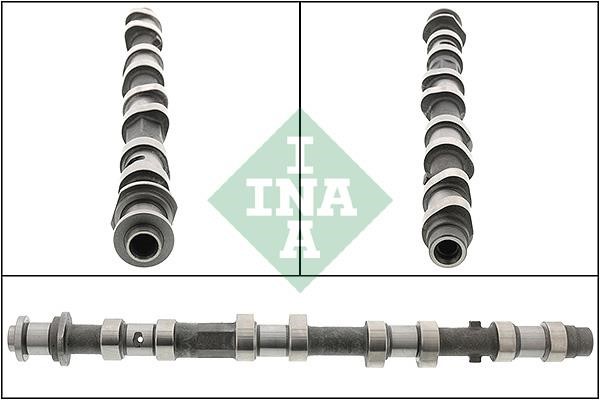 INA 428 0197 10 Camshaft 428019710: Buy near me in Poland at 2407.PL - Good price!