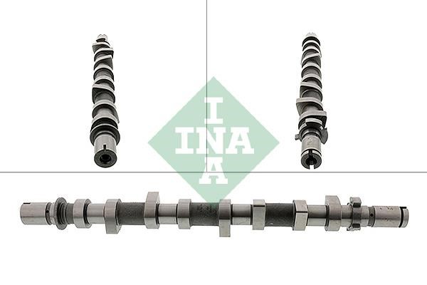 INA 428 0198 10 Camshaft 428019810: Buy near me in Poland at 2407.PL - Good price!