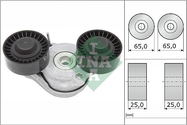 INA 534 0696 10 Belt tightener 534069610: Buy near me at 2407.PL in Poland at an Affordable price!