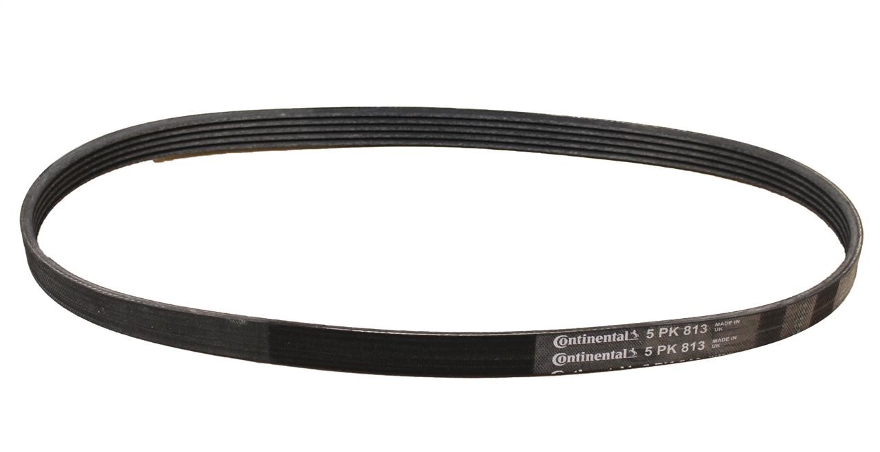 Contitech 5PK813 V-ribbed belt 5PK813 5PK813: Buy near me in Poland at 2407.PL - Good price!