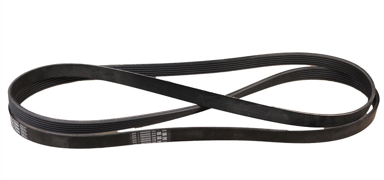 Contitech 6PK2280 V-ribbed belt 6PK2280 6PK2280: Buy near me in Poland at 2407.PL - Good price!