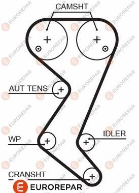 Eurorepar 1633126280 Timing belt 1633126280: Buy near me in Poland at 2407.PL - Good price!