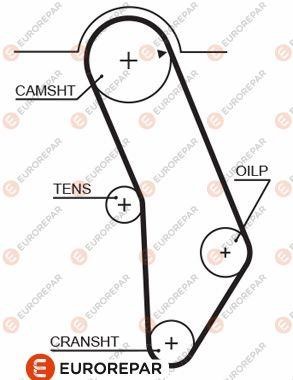 Eurorepar 1633139880 Timing belt 1633139880: Buy near me in Poland at 2407.PL - Good price!