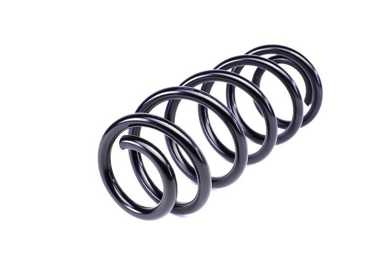 Suspension spring front Solgy 212026