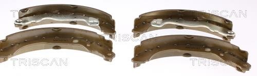 Triscan 8100 25006 Brake shoe set 810025006: Buy near me in Poland at 2407.PL - Good price!