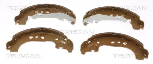 Triscan 8100 29531 Brake shoe set 810029531: Buy near me in Poland at 2407.PL - Good price!