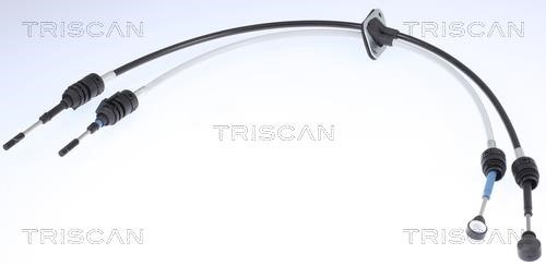 Triscan 8140 23706 Gearbox cable 814023706: Buy near me in Poland at 2407.PL - Good price!