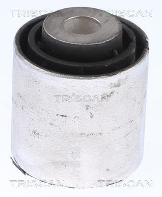 Triscan 8500 118019 Control Arm-/Trailing Arm Bush 8500118019: Buy near me in Poland at 2407.PL - Good price!