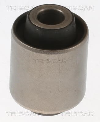 Triscan 8500 10889 Control Arm-/Trailing Arm Bush 850010889: Buy near me in Poland at 2407.PL - Good price!