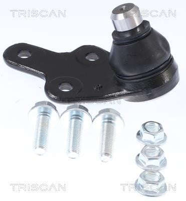 Triscan 8500 165041 Ball joint 8500165041: Buy near me at 2407.PL in Poland at an Affordable price!