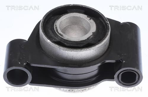 Triscan 8500 238013 Control Arm-/Trailing Arm Bush 8500238013: Buy near me in Poland at 2407.PL - Good price!