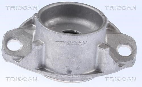 Triscan 8500 28924 Shock absorber support 850028924: Buy near me in Poland at 2407.PL - Good price!