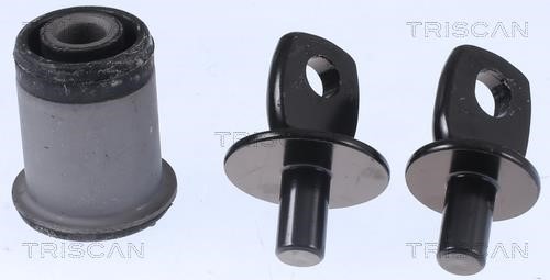 Triscan 8500 24890 Control Arm-/Trailing Arm Bush 850024890: Buy near me in Poland at 2407.PL - Good price!