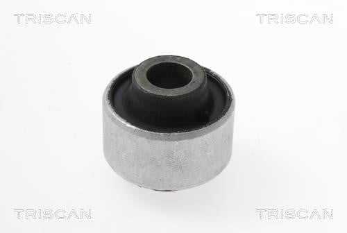Triscan 8500 25861 Control Arm-/Trailing Arm Bush 850025861: Buy near me in Poland at 2407.PL - Good price!