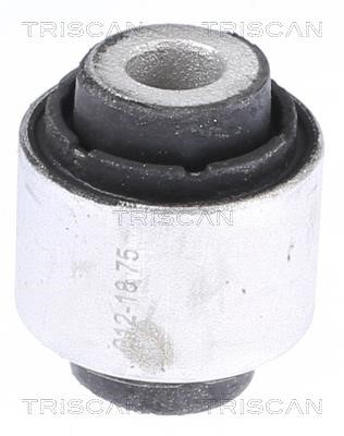 Triscan 8500 298060 Control Arm-/Trailing Arm Bush 8500298060: Buy near me in Poland at 2407.PL - Good price!