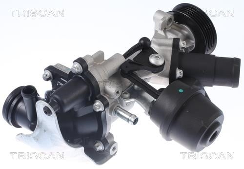 Triscan 8600 23077 Water pump 860023077: Buy near me in Poland at 2407.PL - Good price!