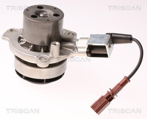 Triscan 8600 29065V Water pump 860029065V: Buy near me in Poland at 2407.PL - Good price!