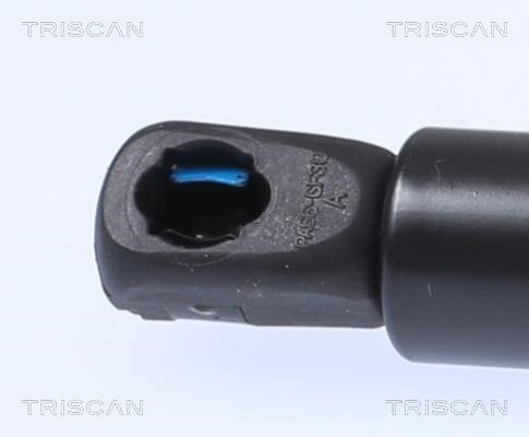 Motorhaubegasdruckfeder Triscan 8710 29150