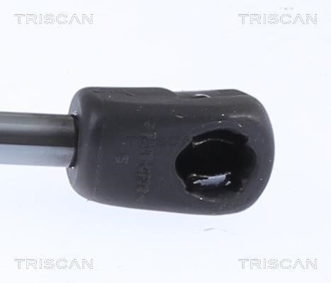 Купить Triscan 8710 29153 по низкой цене в Польше!