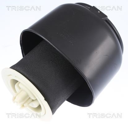 Triscan 8720 11201 Air bag 872011201: Buy near me in Poland at 2407.PL - Good price!