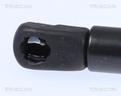 Motorhaubegasdruckfeder Triscan 8710 18103