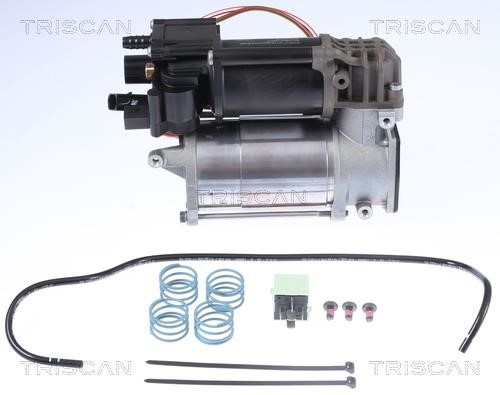 Triscan 8725 11101 Air Suspension Compressor 872511101: Buy near me in Poland at 2407.PL - Good price!