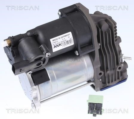 Triscan 8725 11102 Air Suspension Compressor 872511102: Buy near me in Poland at 2407.PL - Good price!