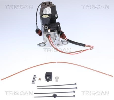 Triscan 8725 29101 Air Suspension Compressor 872529101: Buy near me at 2407.PL in Poland at an Affordable price!