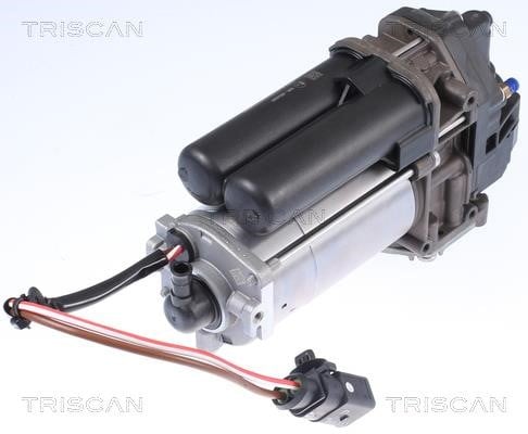 Triscan 8725 81101 Air Suspension Compressor 872581101: Buy near me at 2407.PL in Poland at an Affordable price!