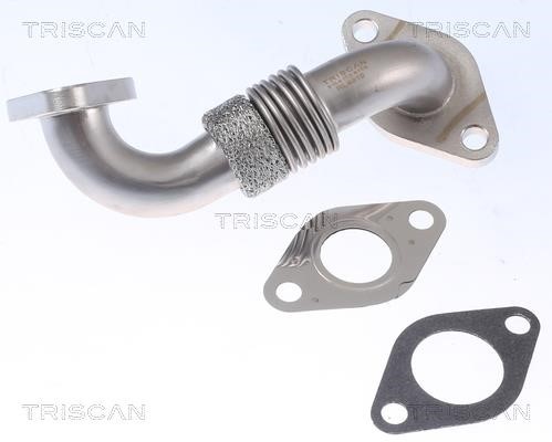 Triscan 8811 29100 Exhaust Gas Recycling Pipe (EGR) 881129100: Buy near me in Poland at 2407.PL - Good price!