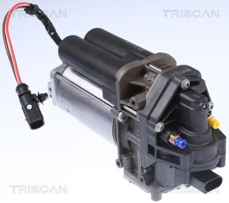 Buy Triscan 8725 81101 at a low price in Poland!