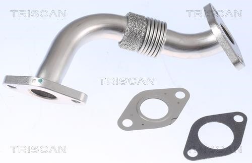 Triscan 8811 29104 Exhaust Gas Recycling Pipe (EGR) 881129104: Buy near me in Poland at 2407.PL - Good price!