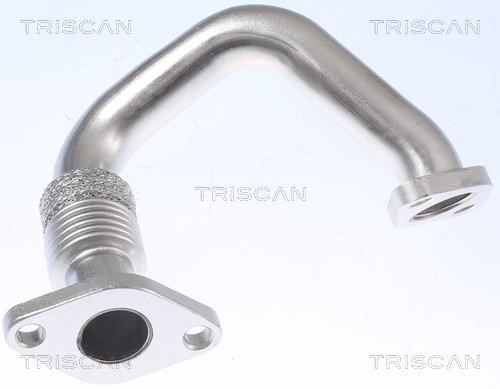 Triscan 8811 29112 Exhaust Gas Recycling Pipe (EGR) 881129112: Buy near me in Poland at 2407.PL - Good price!