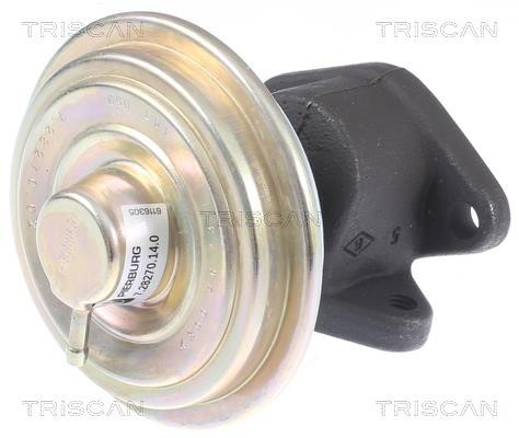 Triscan 8813 10033 EGR Valve 881310033: Buy near me in Poland at 2407.PL - Good price!