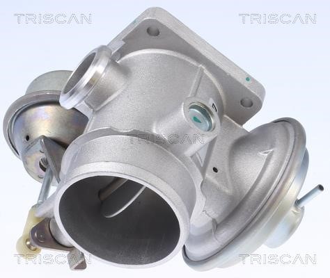 Triscan 8813 10034 EGR Valve 881310034: Buy near me in Poland at 2407.PL - Good price!