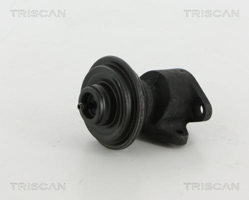 Triscan 8813 18035 EGR Valve 881318035: Buy near me at 2407.PL in Poland at an Affordable price!