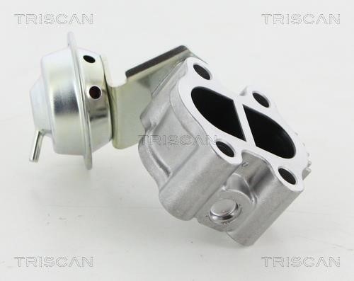 Triscan 8813 13060 Клапан рециркуляции отработанных газов EGR 881313060: Отличная цена - Купить в Польше на 2407.PL!