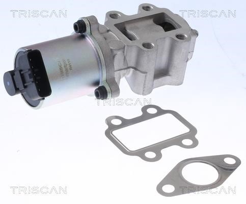 Triscan 8813 13100 EGR Valve 881313100: Buy near me at 2407.PL in Poland at an Affordable price!