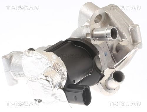 Triscan 8813 14006 Клапан рециркуляції відпрацьованих газів EGR 881314006: Купити у Польщі - Добра ціна на 2407.PL!