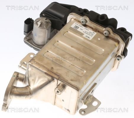Triscan 8813 29006 Клапан рециркуляції відпрацьованих газів EGR 881329006: Купити у Польщі - Добра ціна на 2407.PL!
