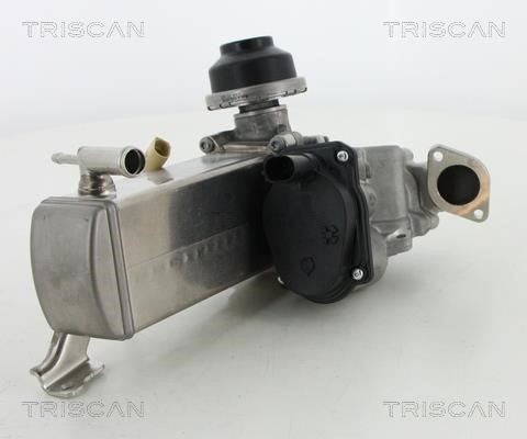 Triscan 8813 29071 Клапан рециркуляции отработанных газов EGR 881329071: Отличная цена - Купить в Польше на 2407.PL!