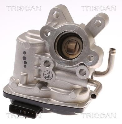 Triscan 8813 68001 Клапан рециркуляции отработанных газов EGR 881368001: Отличная цена - Купить в Польше на 2407.PL!