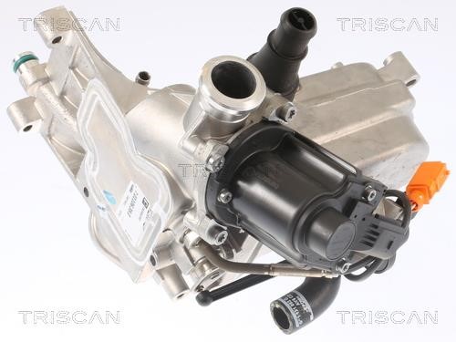 Triscan 8813 29321 EGR Valve 881329321: Buy near me at 2407.PL in Poland at an Affordable price!