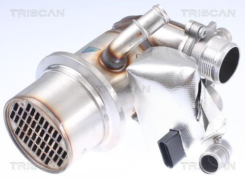 Triscan 8813 29337 Клапан рециркуляции отработанных газов EGR 881329337: Отличная цена - Купить в Польше на 2407.PL!