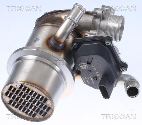 Triscan 8813 29345 Клапан рециркуляції відпрацьованих газів EGR 881329345: Приваблива ціна - Купити у Польщі на 2407.PL!