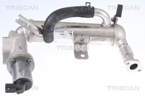 Triscan 8813 43041 Клапан рециркуляції відпрацьованих газів EGR 881343041: Приваблива ціна - Купити у Польщі на 2407.PL!