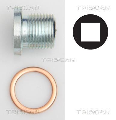 Triscan 9500 1004 Sump plug 95001004: Buy near me at 2407.PL in Poland at an Affordable price!