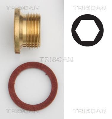 Triscan 9500 1005 Sump plug 95001005: Buy near me in Poland at 2407.PL - Good price!