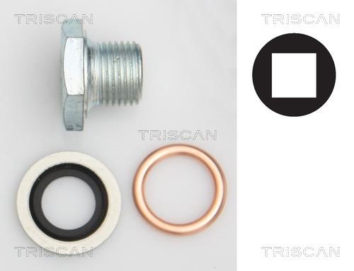 Triscan 9500 1006 Sump plug 95001006: Buy near me in Poland at 2407.PL - Good price!