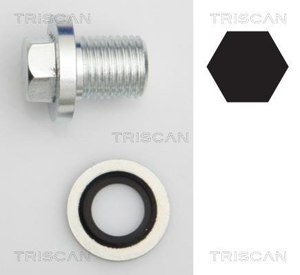 Triscan 9500 1008 Sump plug 95001008: Buy near me in Poland at 2407.PL - Good price!